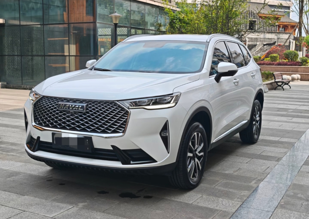 Our certified pre-owned vehicles deliver reliable performance at competitive export prices, backed by complete inspection reports.